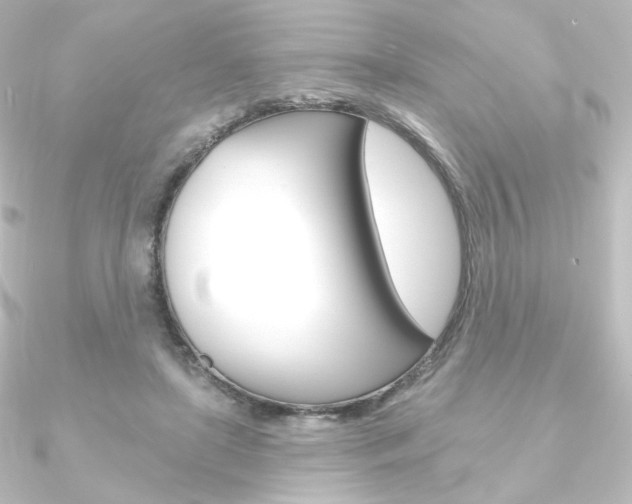 X0000090950451200708021105