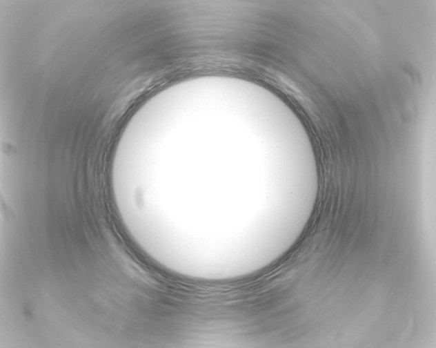 X0000090950452200708021105