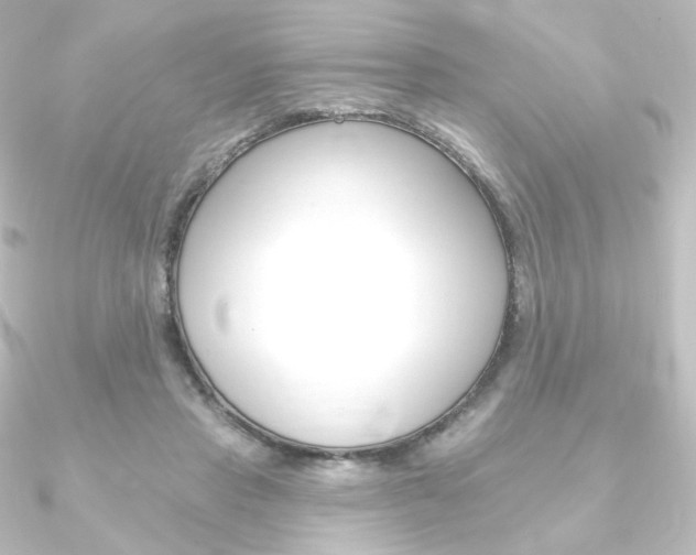 X0000090950453200708021105