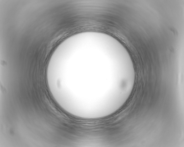 X0000090950454200708021105