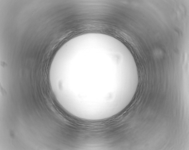 X0000090950456200708021105