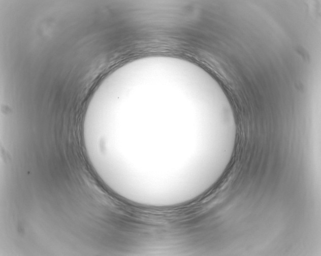 X0000090950458200708021105