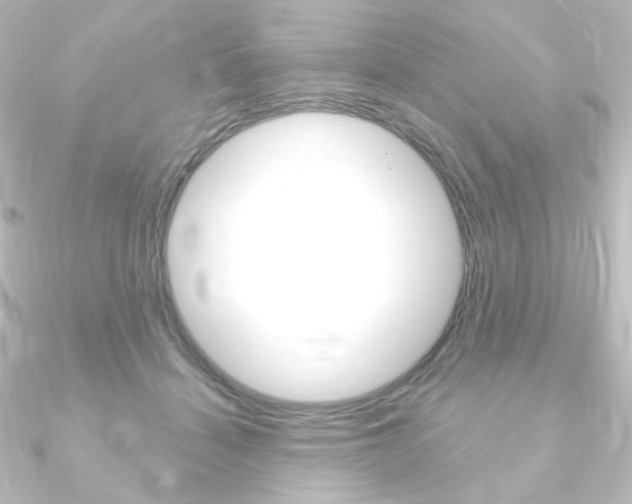 X0000090950460200708021105