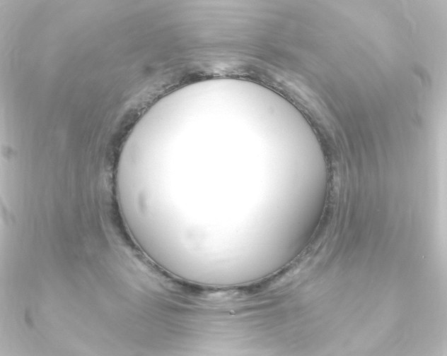 X0000090950461200708021105