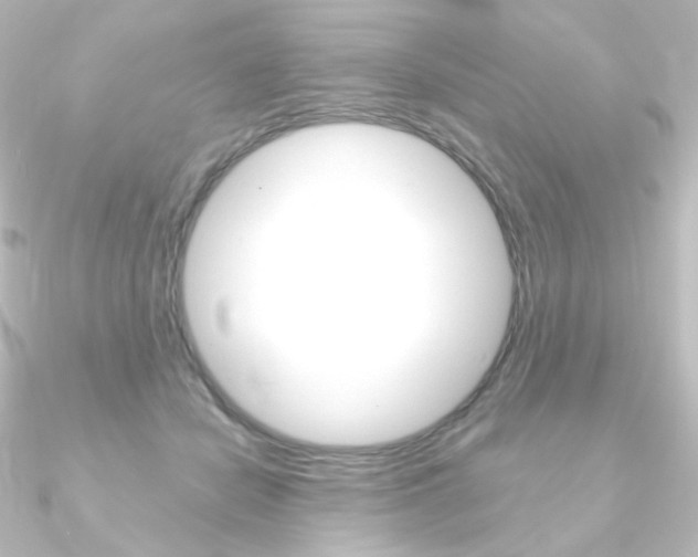 X0000090950462200708021105