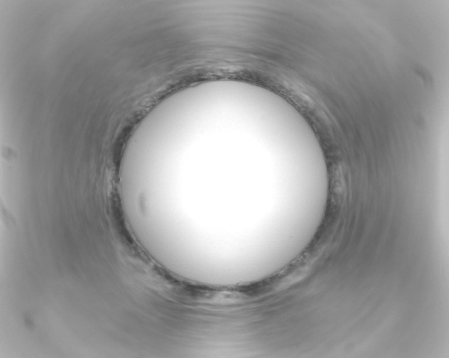 X0000090950463200708021105