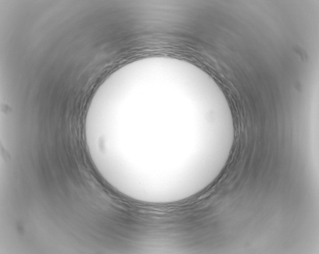 X0000090950464200708021105