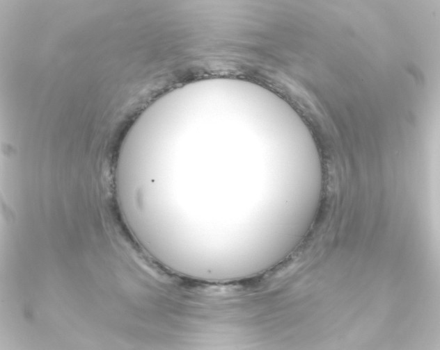 X0000090950465200708021105