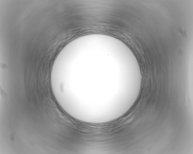 X0000090950466200708021105