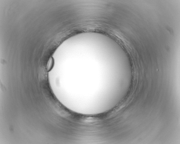 X0000090950467200708021105