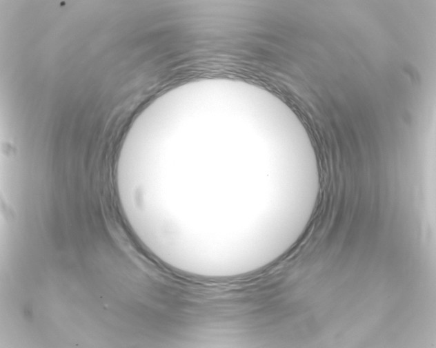 X0000090950468200708021105