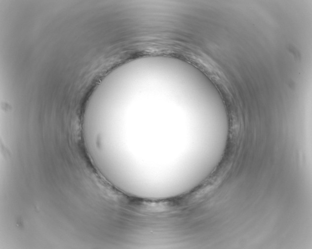 X0000090950469200708021105