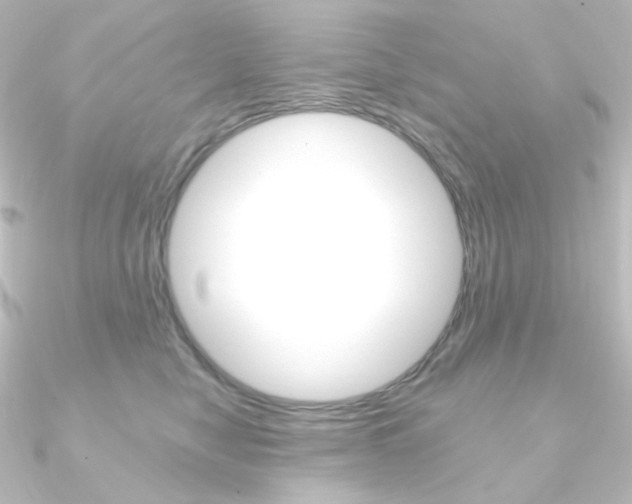 X0000090950470200708021105
