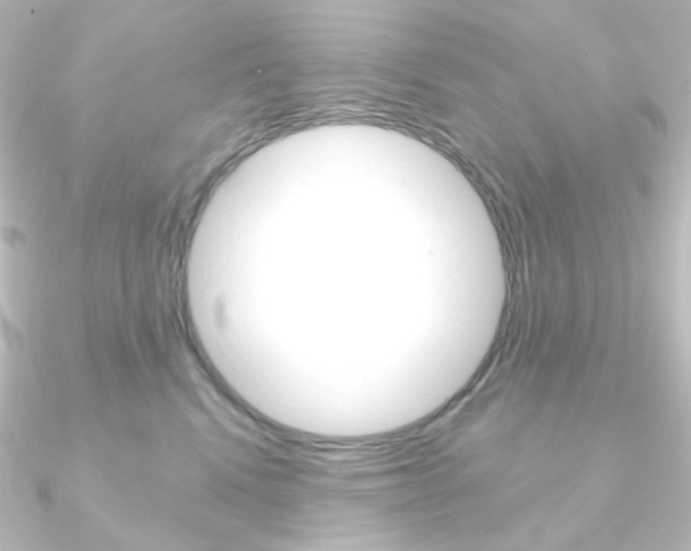 X0000090950472200708021105