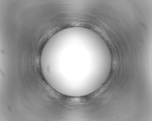 X0000090950473200708021105