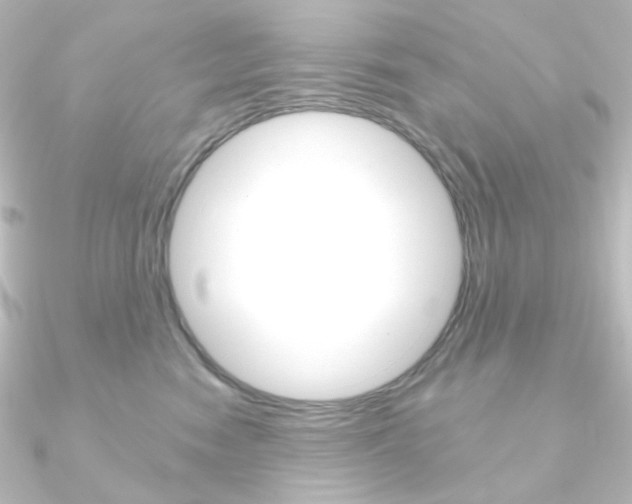 X0000090950474200708021105