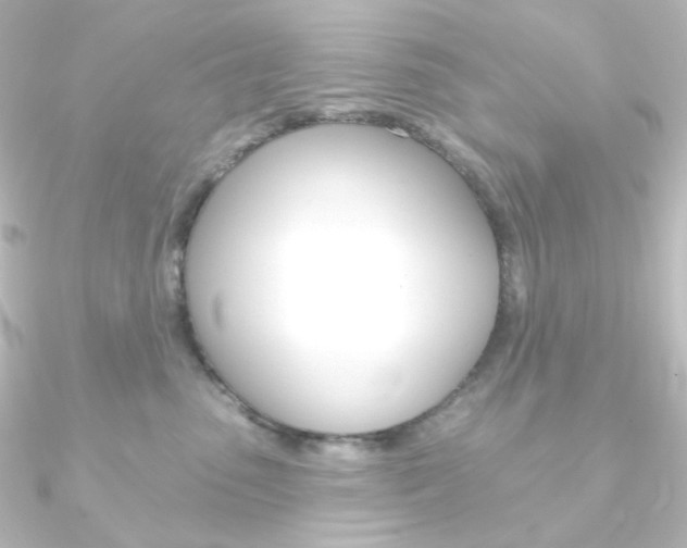 X0000090950475200708021105