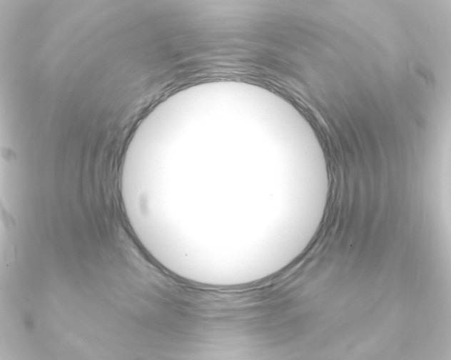 X0000090950476200708021105