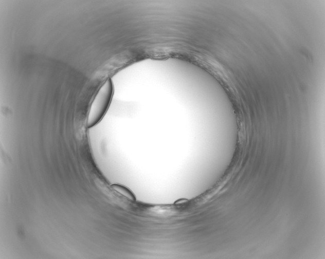 X0000090950477200708021105