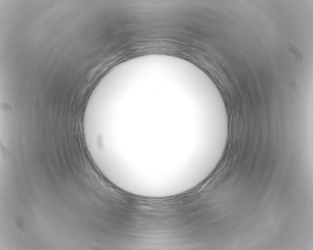 X0000090950478200708021105