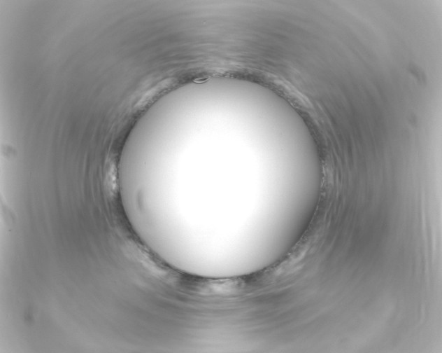 X0000090950479200708021105
