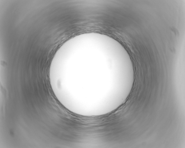 X0000090950480200708021105