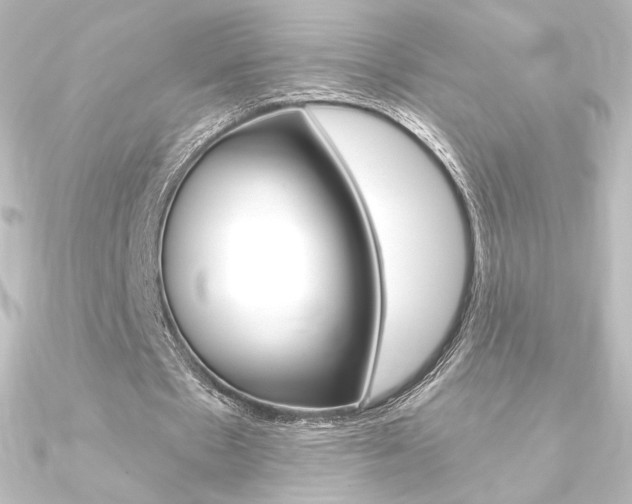 X0000090950481200708021104