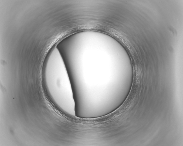 X0000090950482200708021104