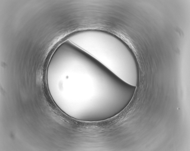 X0000090950483200708021104