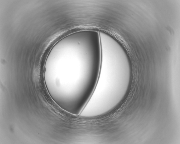X0000090950484200708021104