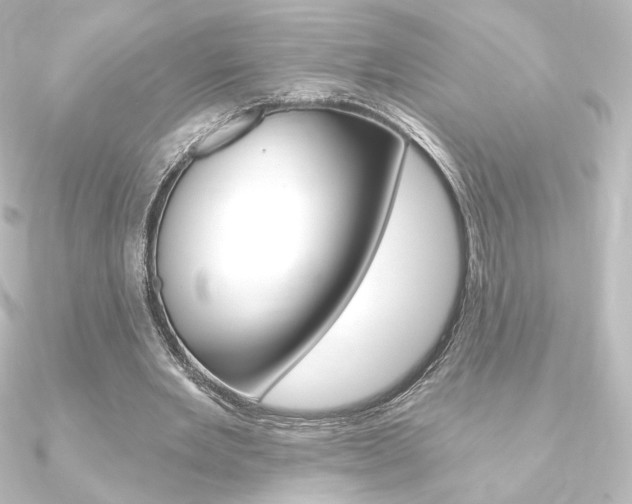 X0000090950485200708021104