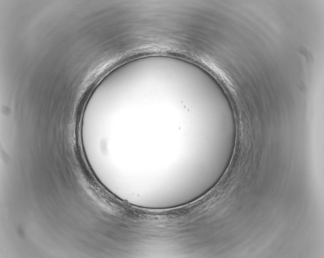X0000090950486200708021104