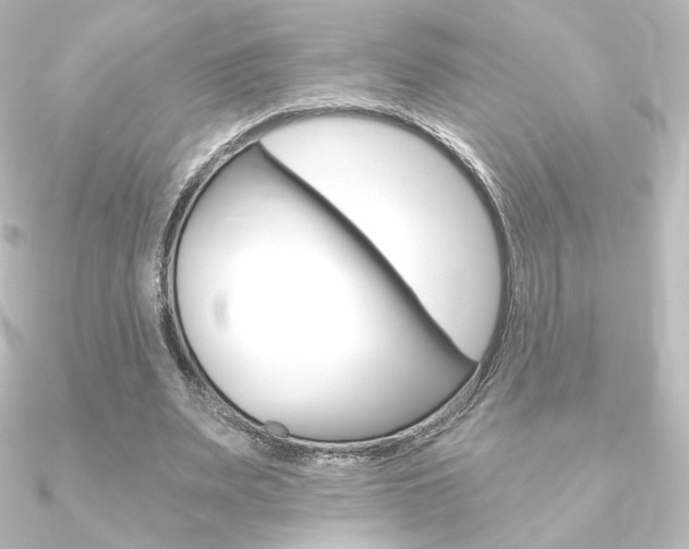 X0000090950487200708021104