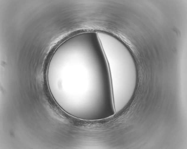 X0000090950488200708021104