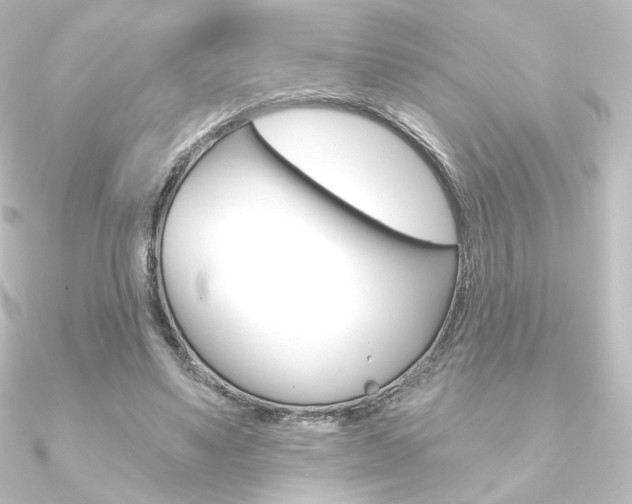 X0000090950491200708021104