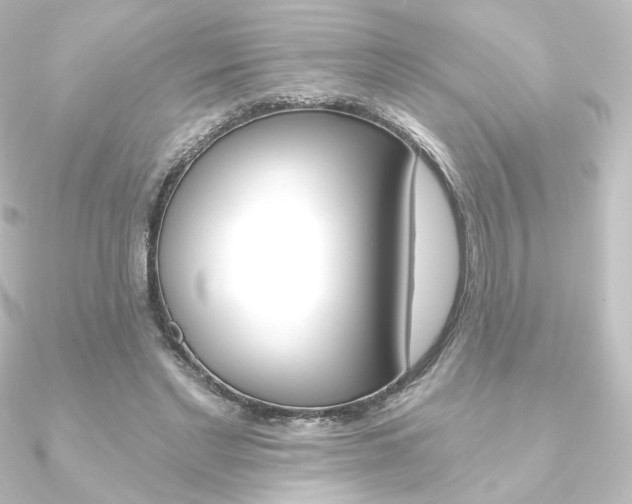 X0000090950493200708021104