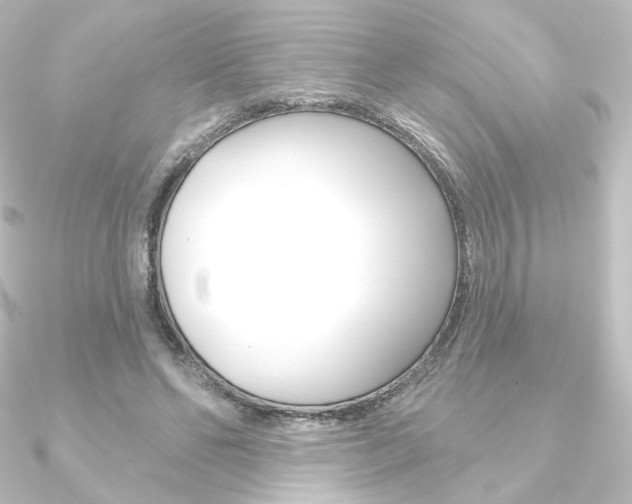 X0000090950494200708021104
