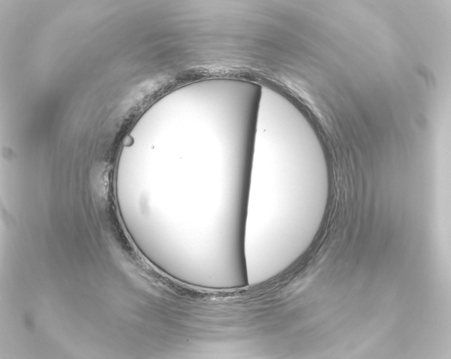 X0000090950495200708021104