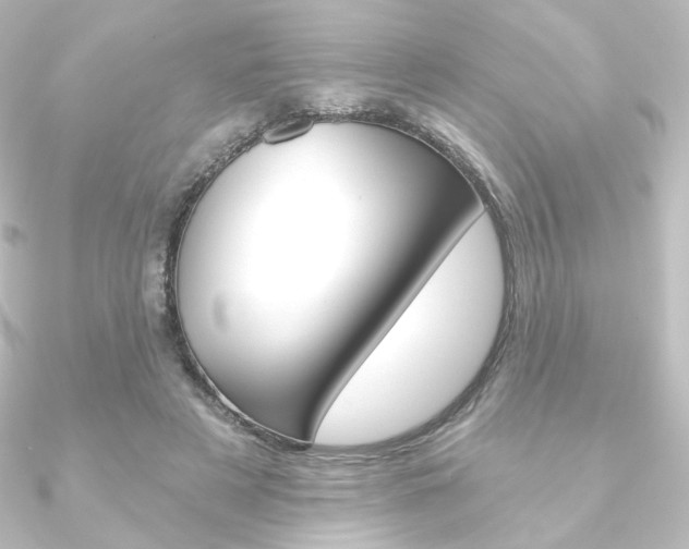 X0000090950497200708021104