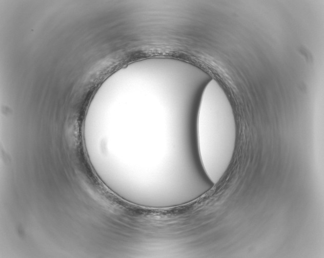 X0000090950498200708021104