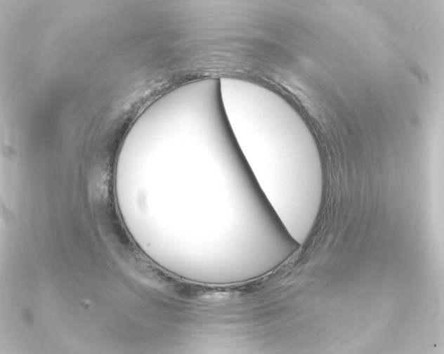 X0000090950499200708021104