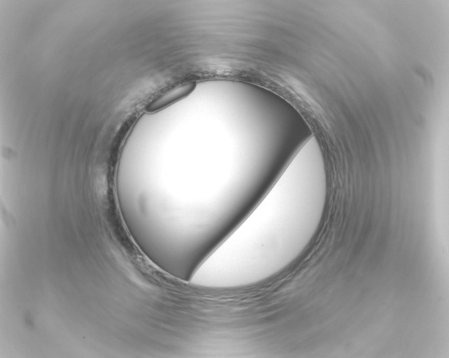 X0000090950500200708021104