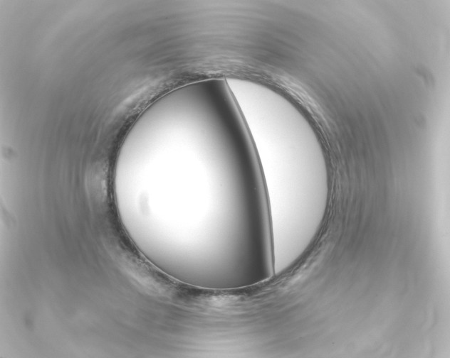 X0000090950501200708021104