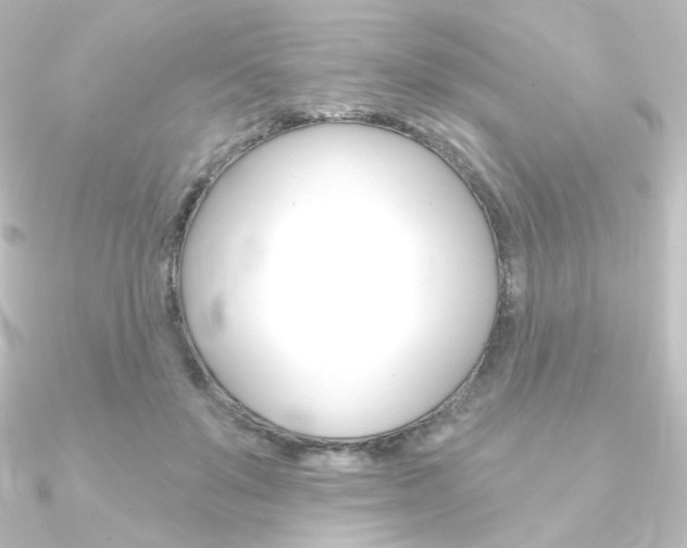 X0000090950503200708021104