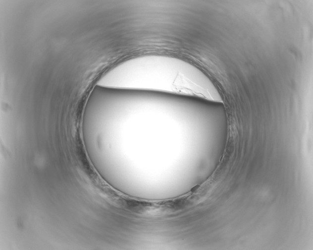 X0000090950504200708021104