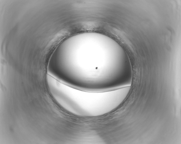 X0000090950505200708021104