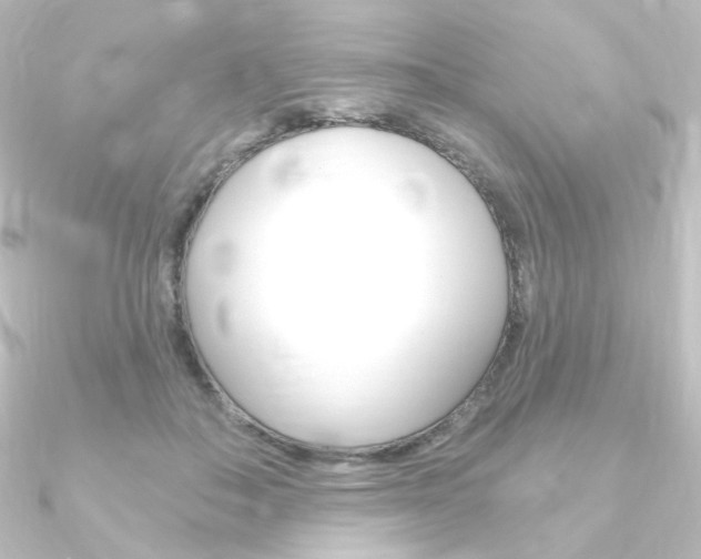 X0000090950506200708021104