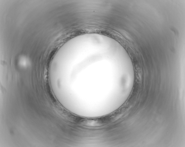 X0000090950507200708021104