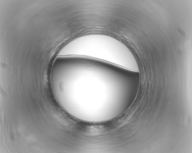 X0000090950508200708021104