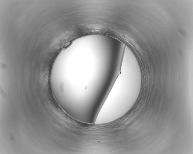 X0000090950509200708021104